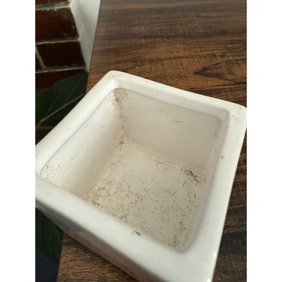 Square ceramic small succulent plant holder - Picture 3 of 7